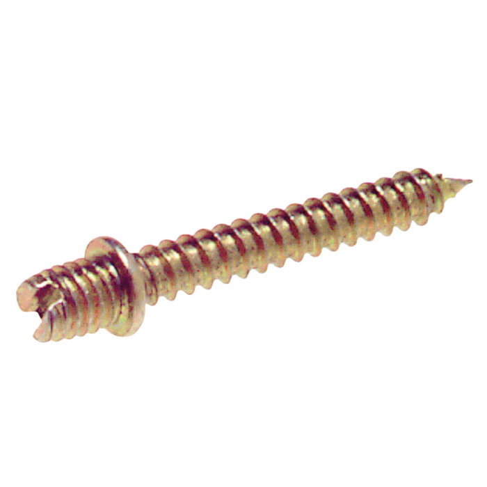 WOLFPACK LINEA PROFESIONAL Vis pour collier de serrage M6 6x30 mm dorée WOLFPACK LINEA PROFESIONAL Vis pour collier de serrage M6 6x30 mm dorée