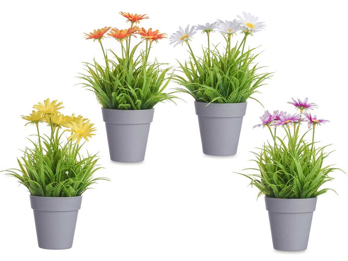 Ibergarden Pot Marguerite Assorti 14x21x14 cm Plastique Couleurs Variées (Set de 24)