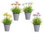 Ibergarden Pot Marguerite Assorti 14x21x14 cm Plastique Couleurs Variées (Set de 24)