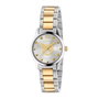 Gucci G-Timeless YA126596 Dorée et Grise