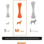 Bionic Bâton à mâcher pour chien BIONIC Urban Stick, en caoutchouc résistant, sans plomb/BPA/phtalates, taille Medium 23 cm, pour chiens 7-15 kg