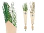 Giftdecor Ramillette Feuilles de Palmier Assorties Vert et Naturel 20x100x4 cm (Set de 20)