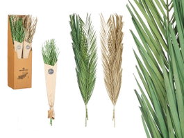 GIFTDECOR Ram bouquet de feuilles de palmier assorti Vert et Naturel
