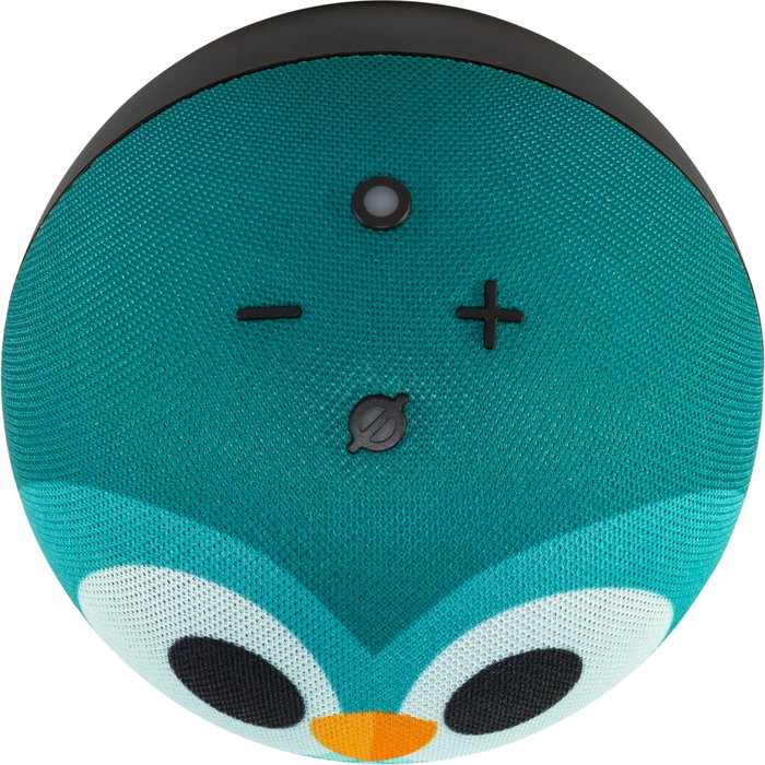 Amazon Echo Dot 5 Owl Design