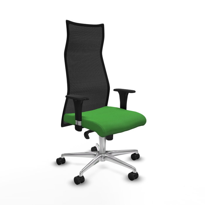 Piqueras y Crespo Chaise de Bureau Albacete Vert et Noir Piqueras y Crespo Chaise de Bureau Albacete Vert et Noir