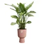 Elho Pot de fleurs intérieur Vibes Fold Coupe Rose Ø 29.5 x H 45 cm 100% recyclé - Design tendance et pratique