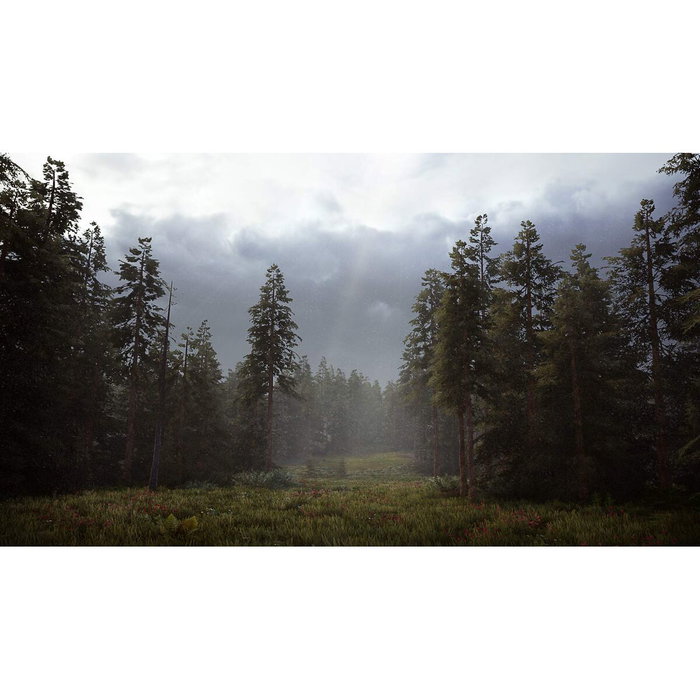 Jeu vidéo PlayStation 5 Nacon HUNTING SIMULATOR 2