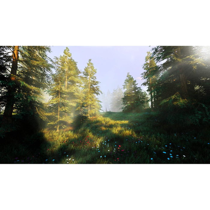 Jeu vidéo PlayStation 5 Nacon HUNTING SIMULATOR 2