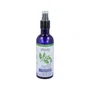 Physalis Eau de Fleur d'Oranger Bio 200ml