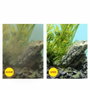 Ciano Pack de cartouches de filtration de rechange Taille L - 3 mois