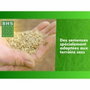 BHS Semence de gazon Regarnissage Terrain Sec - 3kg