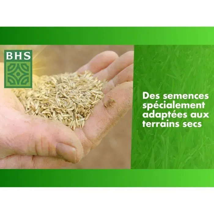 BHS - Gazon de regarnissage pour terrain sec, semences avec engrais organique - 3kg pour 150 m2 - Résistant, durable et pérenne