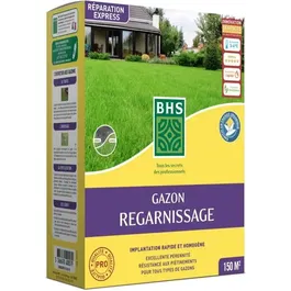 BHS - Gazon de regarnissage pour terrain sec, semences avec engrais organique - 3kg pour 150 m2 - Résistant, durable et pérenne
