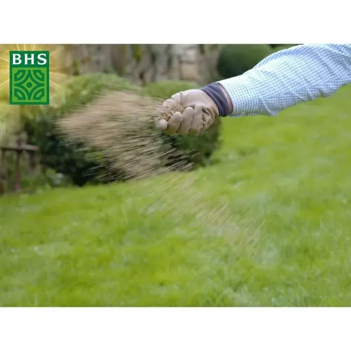 BHS - Gazon de regarnissage pour terrain sec, semences avec engrais organique - 3kg pour 150 m2 - Résistant, durable et pérenne