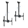 Tooq LPCE1170TSLI Support Mural Plafond pour Écran 37-70 Pouces, Rotation 180°, Inclinable, Charge 50 kg, VESA 600x400, Noir