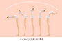 Sousai Shojo Teien accessoires pour figurines 1/10 Dress Up Body Size L