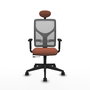 Piqueras Y Crespo Motilla - Chaise de bureau Sincro/Traslack, Marron et Gris