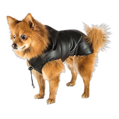 FERPLAST VET ABRIGO TRENCH Noir Taille 31cm FERPLAST VET ABRIGO TRENCH Noir Taille 31cm