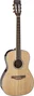 Takamine GY51 A/E New Yorker - Natural