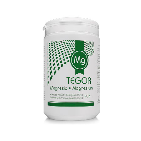 TEGOR MAGNESIO poudre 180 g