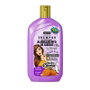 Gota Dourada Shampoo Fortalecimento Cabelos c/ Escova 430ml