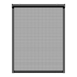 Schellenberg Moustiquaire enroulable anthracite, 100 x 160 cm