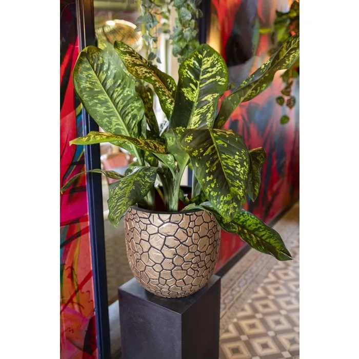 CAPI EUROPE Clay NL Pot boule design, 35 x 34 cm, Noir doré, pour intérieur et extérieur