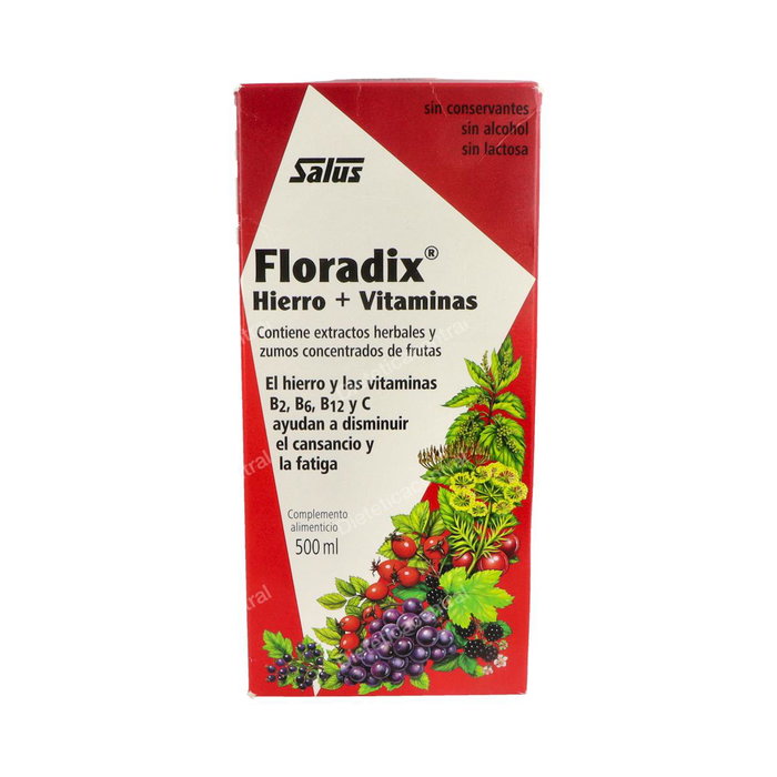 SALUS Floradix Fer 500 ml