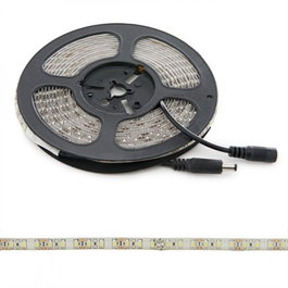 Bande LED 600 SMD3528 48W 6000K Blanc Froid 12VDC IP65 5m