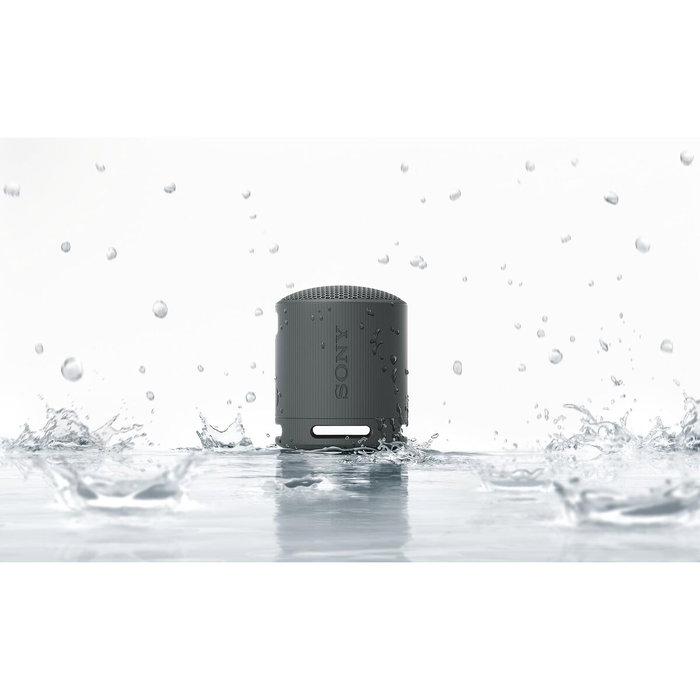 Haut-parleurs bluetooth portables Sony SRSXB100L Bleu