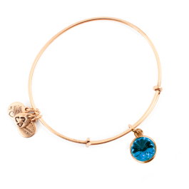 Alex And Ani Bracelet Bleu Ajustable