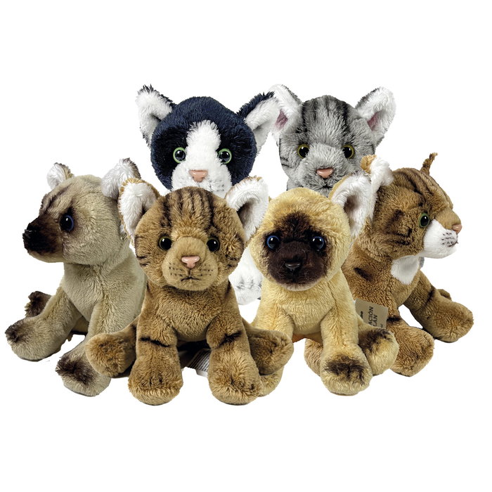 DEQUBE Peluche Bocalan Chaton Assorti 12 cm avec Exposateur DEQUBE Peluche Bocalan Chaton Assorti 12 cm avec Exposateur
