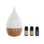 Diffuseur d'Huiles Essentielles Home ESPRIT Urbaine 10 ml (4 Pièces)