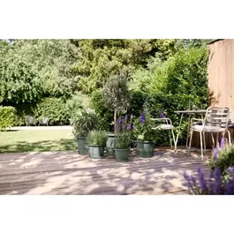 ELHO Pot de fleurs Amiga Rond 25 - Vert, 24.5 cm x 18 cm - Pour terrasse et jardin - 100% recyclé, résistant au gel et aux chocs