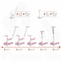 Mondo On&Go Scribble 5-en-1 Draisienne évolutive, Noir / Rose