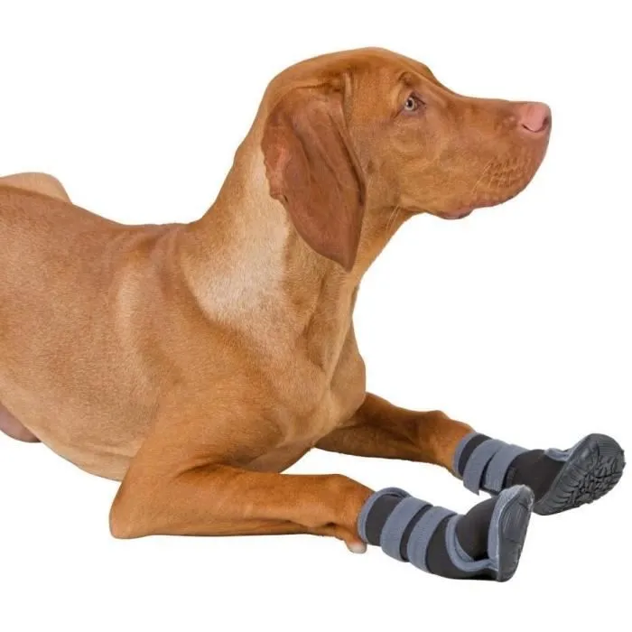 Kerbl ACTIVE - Chaussures pour chien Taille XL, gris/noir - Protection des coussinets contre gravier, sel et chaleur - Caoutchouc synthétique respirant avec fermeture scratch