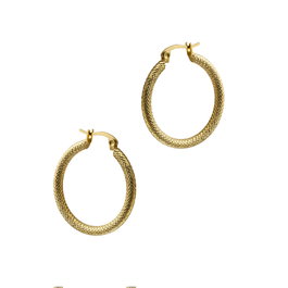 Time Force Boucles d'oreilles TS5147PY en acier doré