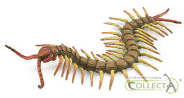 COLLECTA Mille-pattes L - Collecta