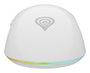 Genesis Souris Gaming Sans Fil Zircon Xiii - Optique 26000 DPI, Blanc, RGB