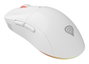Genesis Souris Gaming Sans Fil Zircon Xiii - Optique 26000 DPI, Blanc, RGB