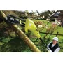 Ryobi RPP750S Élagueur sur perche électrique 750 W, guide chaîne 20 cm incliné à 15°, tube d'extension 90 cm, tube télescopique réglable 1.1-1.8 m