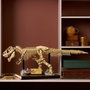 LEGO Jurassic World Fossiles de Dinosaures : le Tyrannosaurus Rex 76968