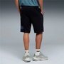 Short de Sport pour Homme Puma Essentials Logo Lab Noir