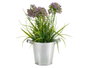 Ibergarden Seau avec anses larges en zinc 20x14x16 cm 1,5 L argent (Set de 24)