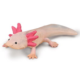 COLLECTA Ajolote - Taille M