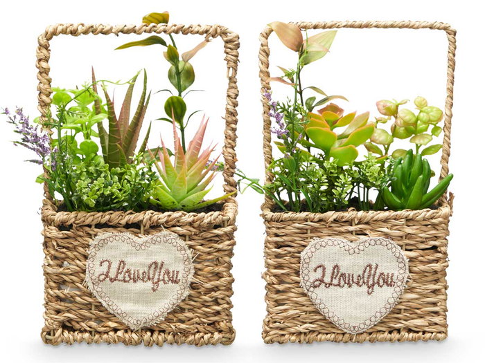 Ibergarden Maceta avec anse assortis 12x21x10cm Plastique Bois Métal Vert (Set de 12) Ibergarden Maceta avec anse assortis 12x21x10cm Plastique Bois Métal Vert (Set de 12)