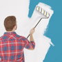Je cherche une Idee Rouleau de peinture extensible 135 en Acero Inoxidable