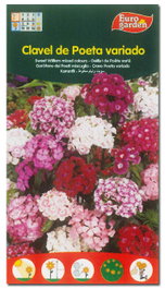 Semillas Fito Fleurs Clavel de Poeta Varié - Boîte de 10