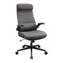 Cougar Chaise de jeu 3MSTDGRB.0001 Noir Gris