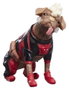 Hasbro Marvel Legends Deadpool & Wolverine Deadpool et Dogpool 15 cm